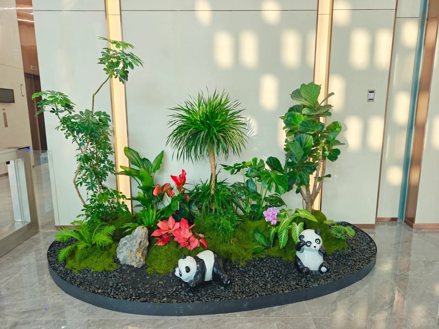 专业花卉出租在慈溪，满足多样绿植需求